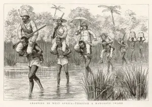 Carried Prints: Carried Across River