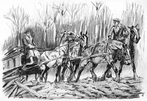 Carts Prints: Carting timber on the Western Front, WW1