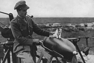 Cats Prints: Cat as a mascot of a gun crew on Western Front