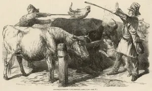 Cattle Prints: Cattle at Smithfield Market, London, 1849