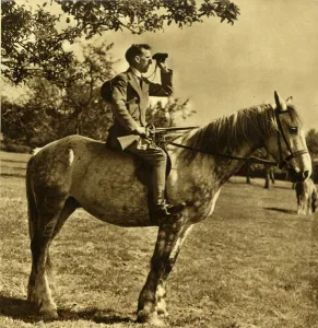 Cavalry Prints: The Cavalry Corps of the L. D. V