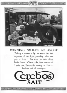 Lunch Prints: Cerebos Salt advertisement, 1928