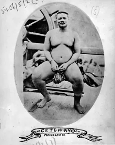 July Prints: Cetewayo (Cetshwayo), King of the Zulus, in captivity