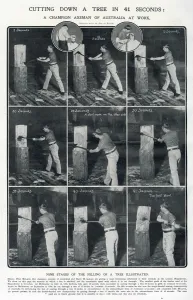 Cutting Prints: Champion Australian axemen at the London Hippodrome