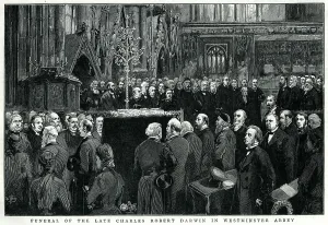 Westminster Prints: Charles Darwin's funeral 1882