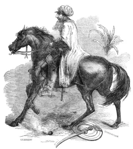Napier Prints: Charles James Napier