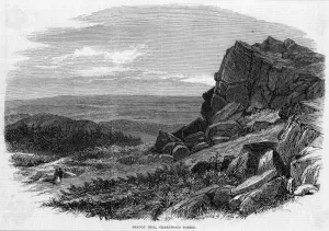 Forest Prints: Charnwood Forest