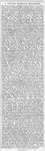 Article Prints: A Chinese Marriage Procession, article 1873