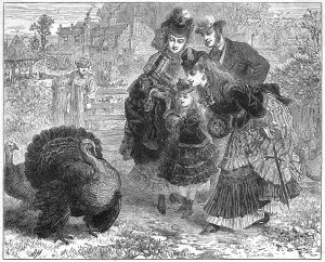 Handsome Prints: Choosing a Turkey