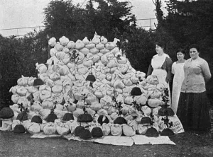 Parcels Prints: Christmas Puddings for the Front