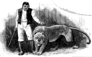 Lion Prints: Circus animal trainer and his lion, 1888