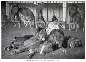 Lion Prints: Claire Heliot and her performing lions 1903