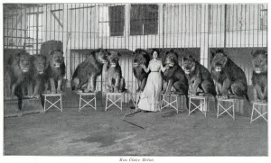 Lion Prints: Claire Heliot and her performing lions 1903