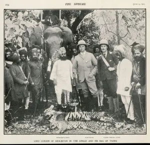 Elephants Prints: Colonialism / Lord Curzon