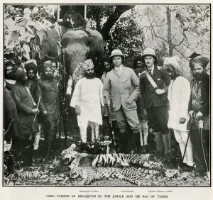 Elephants Prints: COLONIALISM / LORD CURZON