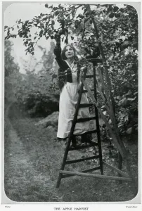 Standing Prints: Coming of Autumn 1906