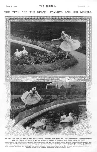 Movement Prints: Command Death Swan Dance Dancing Dances Dancer
