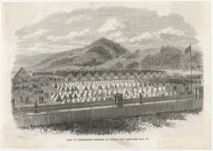 Flies Prints: Confederate Prisoners