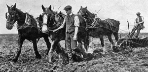 Prisoners Prints: Conscientious objectors on Dartmoor