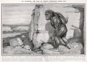 Skull Prints: Correze Man / Neanderthal