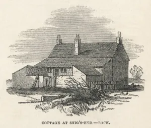 Cottages Prints: Cottage from the Back