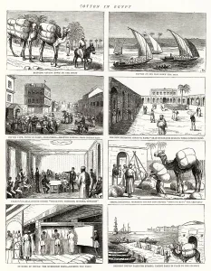 Industry Prints: Cotton in Egypt