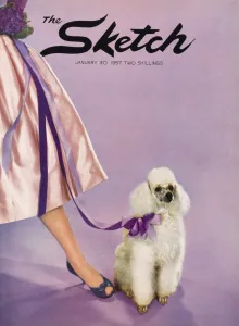 Posed Prints: Front cover from The Sketch