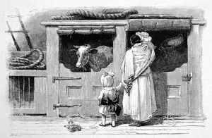 May Prints: Cow on a P&O steamer, 1890