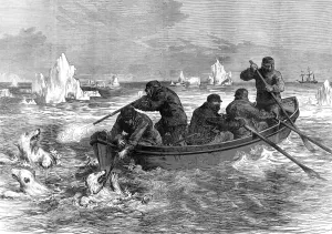 Waters Prints: The crew of the Pandora hunting Polar Bears, 1875