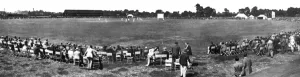 Lancashire Prints: Cricket at Clacton-on-Sea