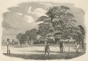 Pavilion Prints: Cricket Match 1853
