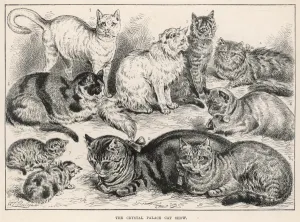 1887 Prints: Crystal Palace Cat Show, 1887