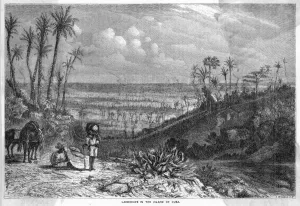 Indies Prints: Cuba Landscape