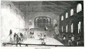 Indies Prints: Cultivation in the West Indies 1849