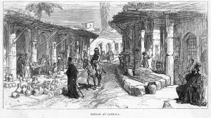 Donkey Prints: Cyprus / Larnaca