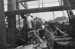 Antarctic Prints: The Deck of the Fram, 1912