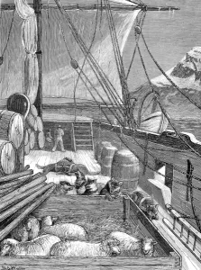 Sound Prints: The Deck of HMS Alert, British Arctic Expedition, 1875