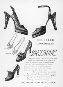 Shoes Prints: Delman Crocodile Shoes