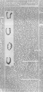 1855 Prints: Devon Footprints - Iln 2