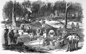 2004 Prints: The diggers at Forest Creek, Port Phillip, Australia