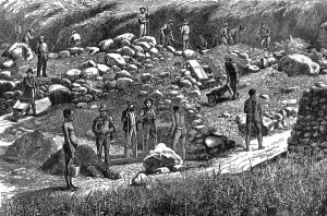 Fields Prints: Diggers at work in the Transvaal gold fields