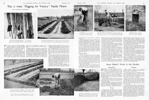 1940 Prints: What digging for victory really means, 1940
