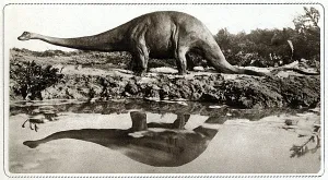 Dinosaur Prints: Dinosaur / Diplodocus