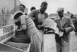 Human Prints: Dionne quintuplets, 1936: souvenir stone sought by tourists