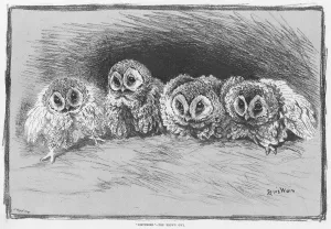 Louis Prints: Disturbed - the Brown Owl by Louis Wain