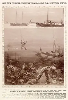 Result Prints: Divers gathering pearl-oysters in Western Australia waters