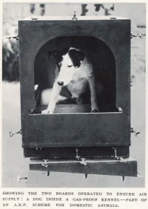 Kennel Prints: Dog inside gas-proof kennel