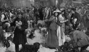 Market Prints: Dog Market, London