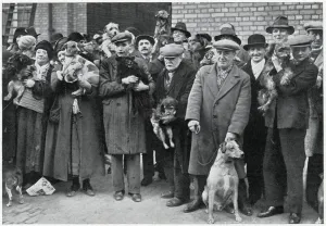 Licence Prints: Dog owners given free licences