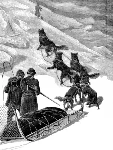 August Prints: A Dog Sledge of the British Arctic Expedition, 1875-1876
